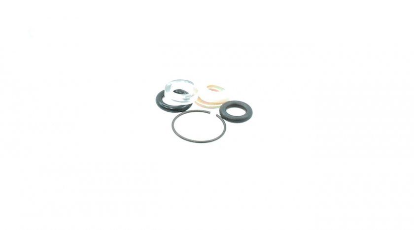 ASG Parts Kit For CZ P-09 O-Rings & Seals 18468 