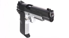 Sig Sauer 1911 Max Michel 4,5mm