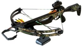 Barnett Jackal