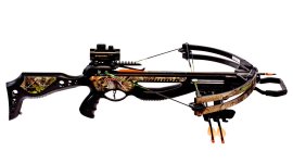 Barnett Jackal