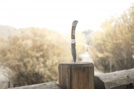 Winchester Lasso closing knife