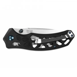 Closing knife Ganzo Firebird FB763-BK black
