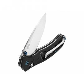 Closing knife Ganzo Firebird FB763-BK black