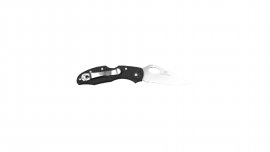 Closing knife Ganzo Firebird F759M-BK