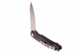 Closing knife Ganzo Firebird FH21-BK