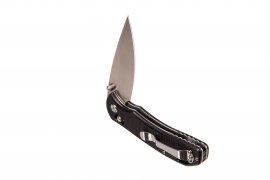 Folding knife Ganzo G7531 black
