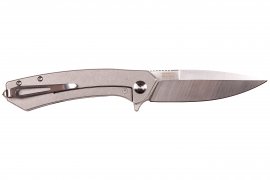 Folding knife Ganzo Skimen black