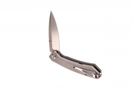 Folding knife Ganzo Skimen black