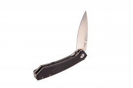 Folding knife Ganzo Skimen black