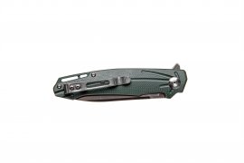 Closing knife Ganzo Firebird FH21 green