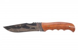 Kandar N49