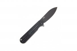 Knife Ganzo Firebird FH922PT-BK
