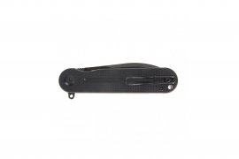 Knife Ganzo Firebird FH922PT-BK
