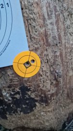 Review: H&N Heavy Slug 6.35mm/.250 2.72g/42gr - 1