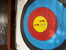 Review: Paper target 80x80cm - 1