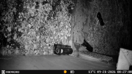 Review: Trail Camera HIKMICRO T16 - 1