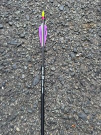 Review: Arrow Carbon Wraith 30" - 2