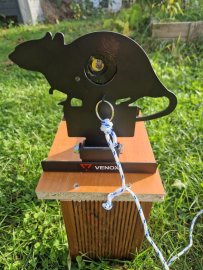 Review: Venox krysa competition target - 1