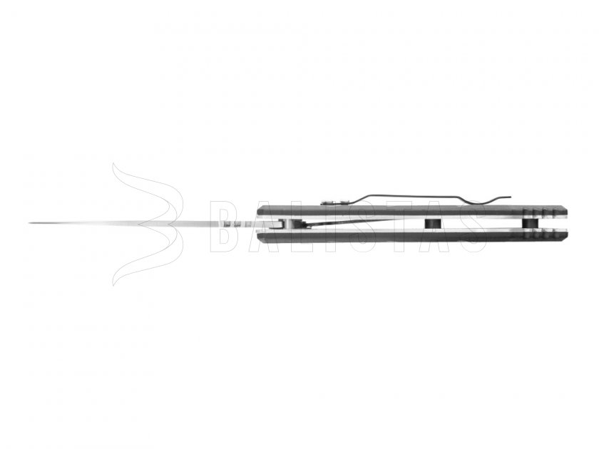 Ganzo closing knife G619