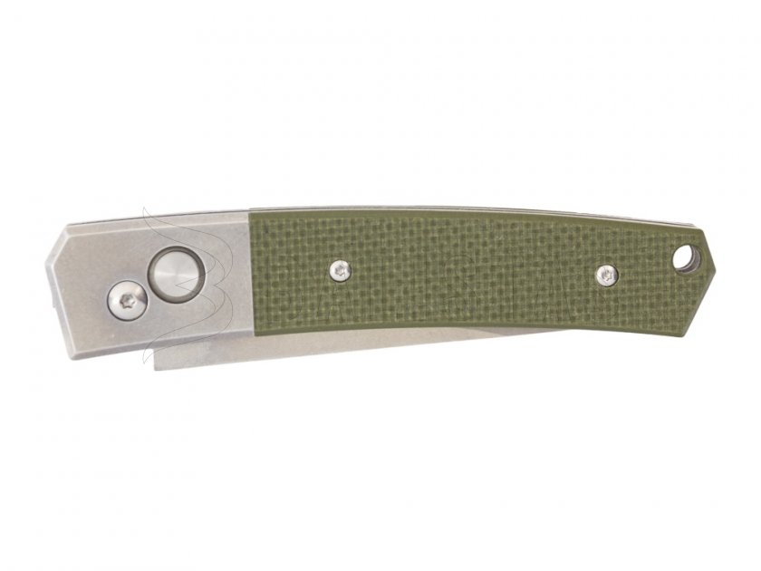 Folding Knife Ganzo G7362-GR