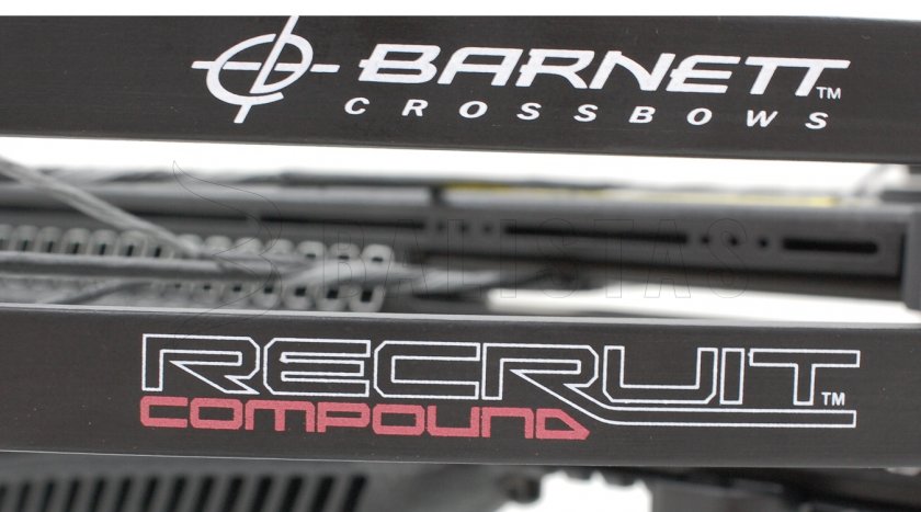Crossbow Barnett Recruit