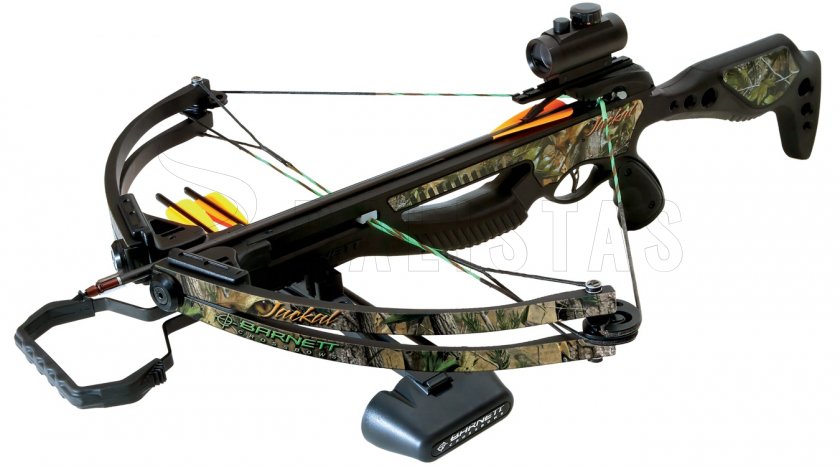 Barnett Jackal