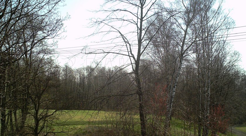Trail Camera Forestcam Tiny