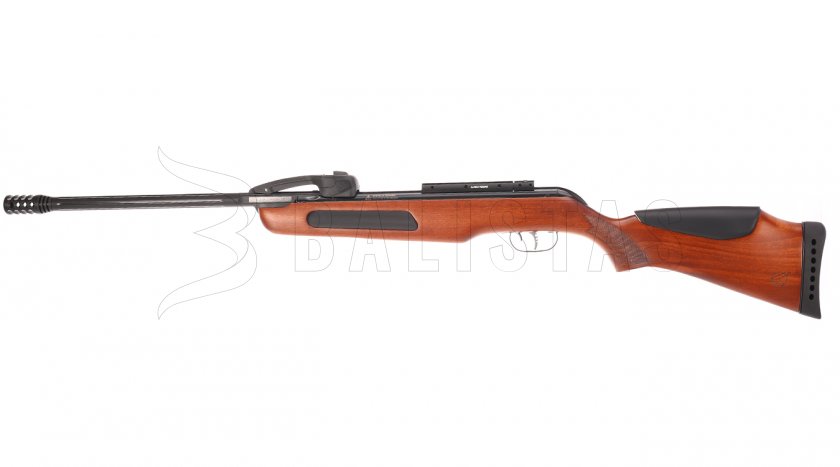 Gamo Replay 10 4,5 SET Wood