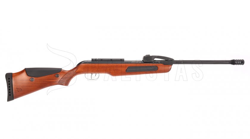 Gamo Replay 10 4,5 SET Wood