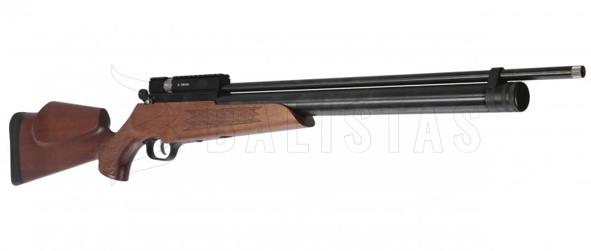Evanix Hunting Master AR6 5,5mm