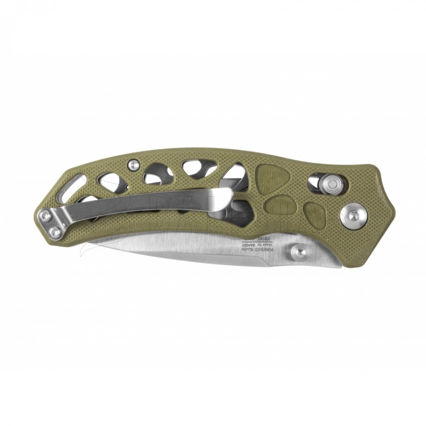 Closing knife Ganzo Firebird FB763-GR green
