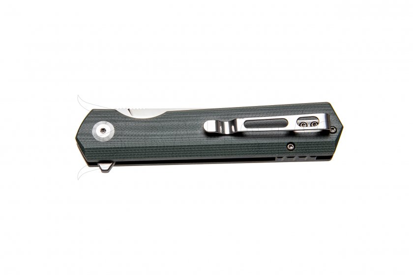 Closing knife Ganzo Firebird FH11-GB green