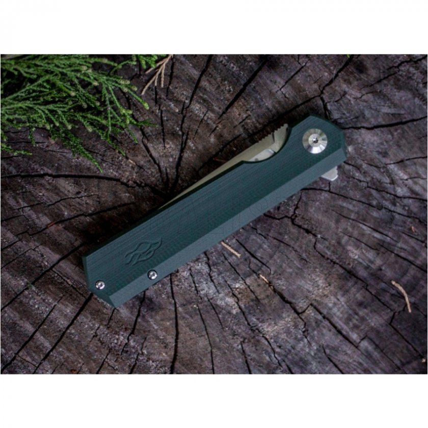 Closing knife Ganzo Firebird FH11-GB green