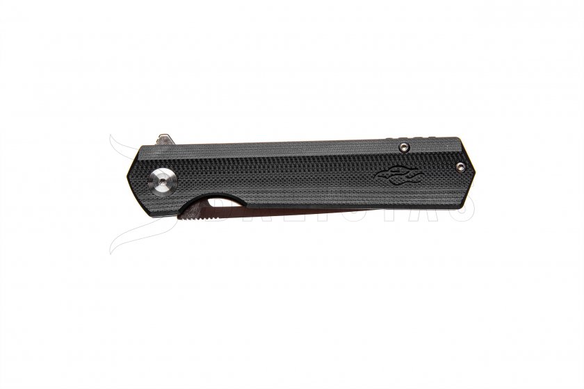 Closing knife Ganzo Firebird FH11-BK black