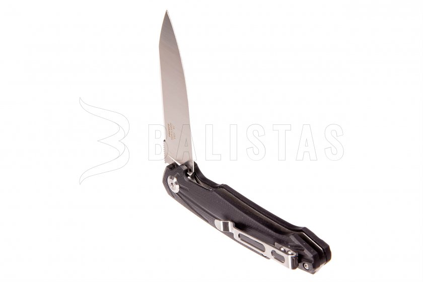 Closing knife Ganzo Firebird FH21-BK