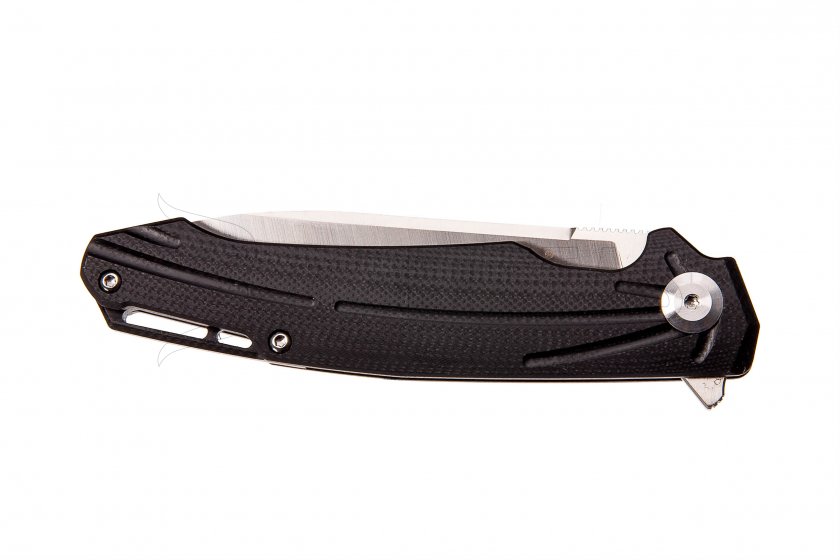 Closing knife Ganzo Firebird FH21-BK