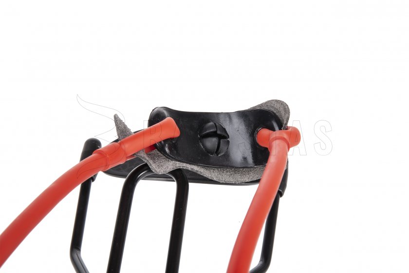 NXG PPS-210