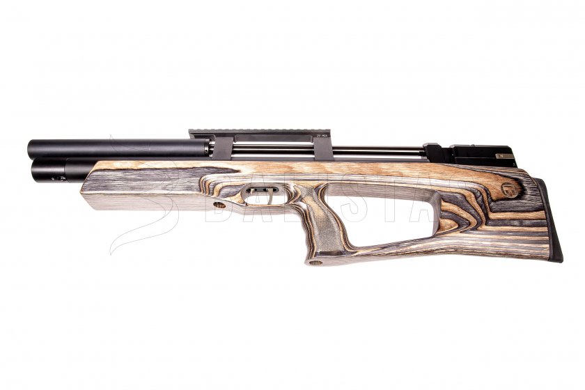 Taipan Veteran Standard 5,5mm Coffee
