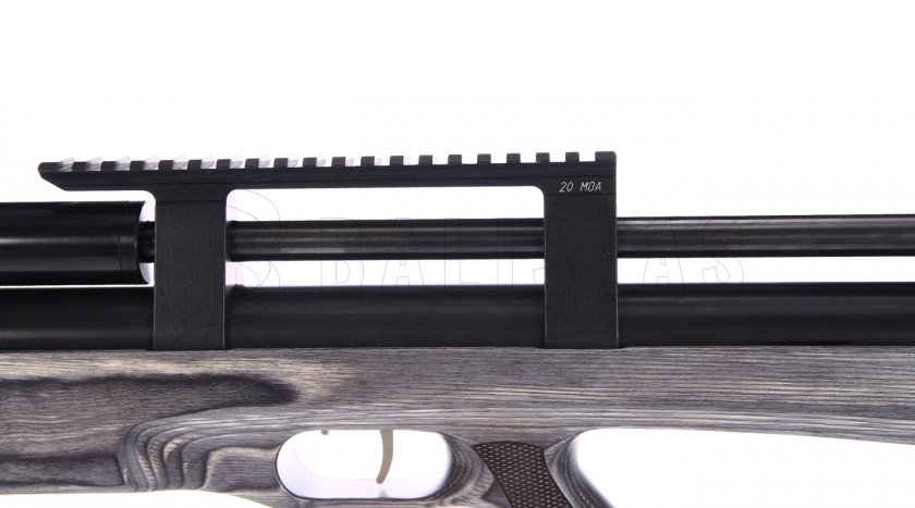 Taipan Veteran Long 5,5mm Laminate