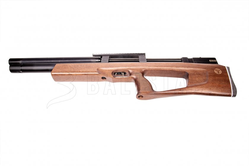 Taipan Veteran Long 5,5mm Beech