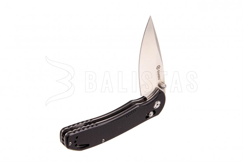Folding knife Ganzo G7531 black