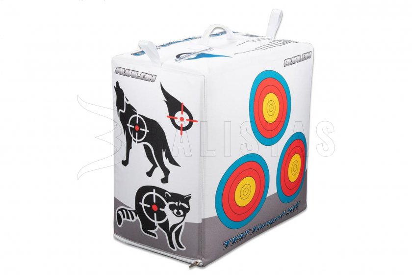 Target Boss Avalon TEC50 50x50x30CM