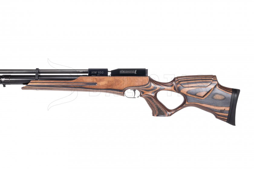 Weihrauch HW 100 T Laminated 4,5mm