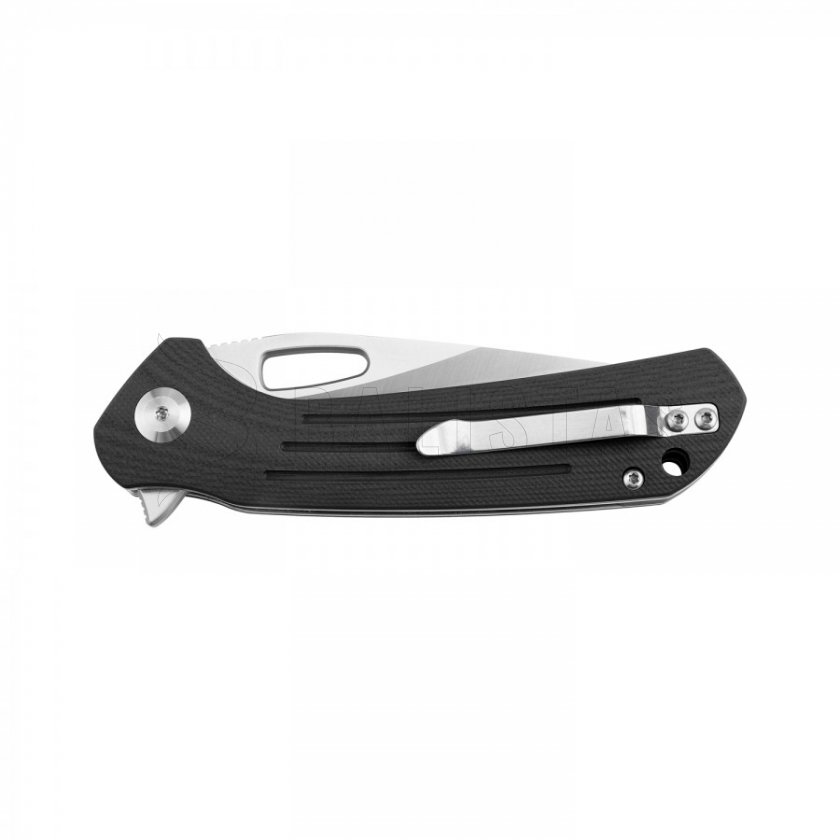 Closing knife Ganzo Firebird FH921 black