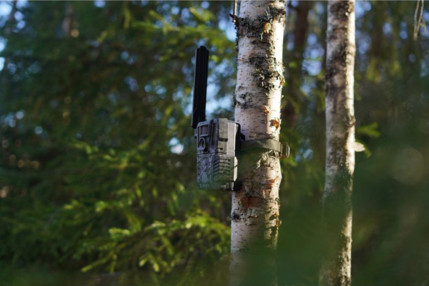 Hikmicro M15 Camera Trap