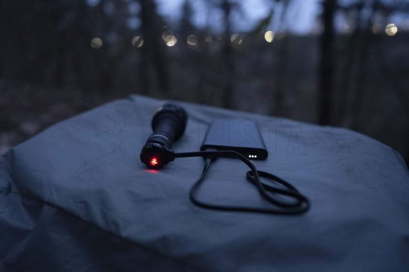 Armytek Bear WRG 10.jpg