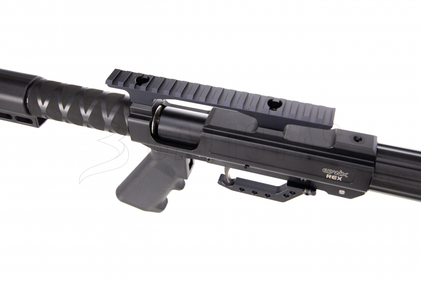 REX55 lišta.png