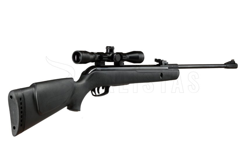 Air Rifle Gamo Big Cat 1000 4.5mm set 5
