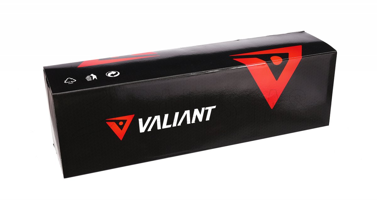 Valiant Themys 4-12x40 AO 1/2 Mil-Dot